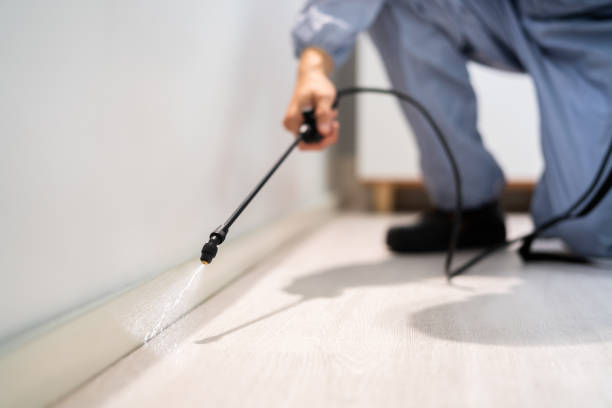 Licensed Ant Control service in Blue Grass, IA - Nex Pest Control