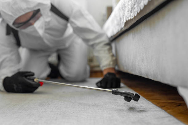 Professional Ant Control technician working in Blue Grass, IA